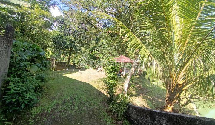 Tanah Tajurhalang Cijeruk Bogor ALIMA  7