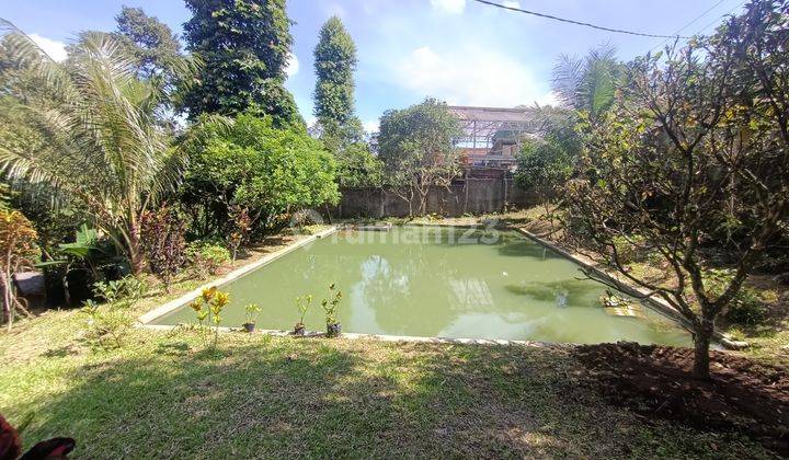 Tanah Tajurhalang Cijeruk Bogor ALIMA  8