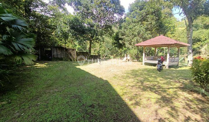 Tanah Tajurhalang Cijeruk Bogor ALIMA  10
