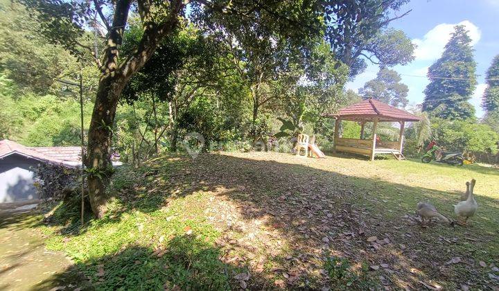 Tanah Tajurhalang Cijeruk Bogor ALIMA  12