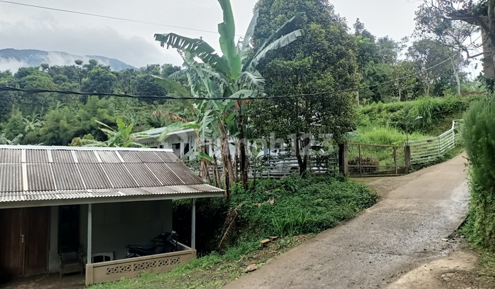 Tanah di jual Cijeruk SHM Boja farm Alima  2