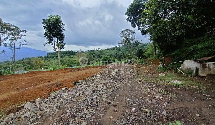 Di jual tanah SHM Cijeruk gunung salak Bogor Alima  5