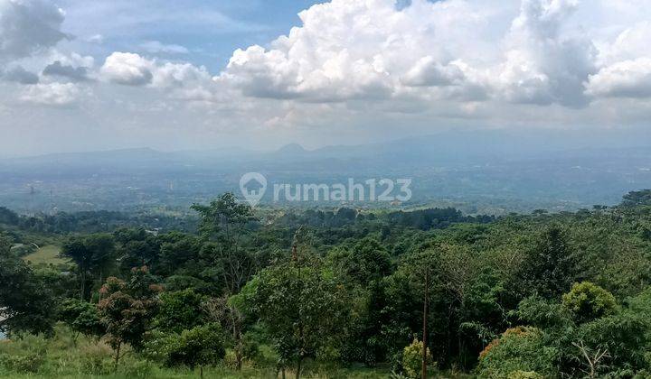 Di  tanah murah Bogor cijeruk Best view 2