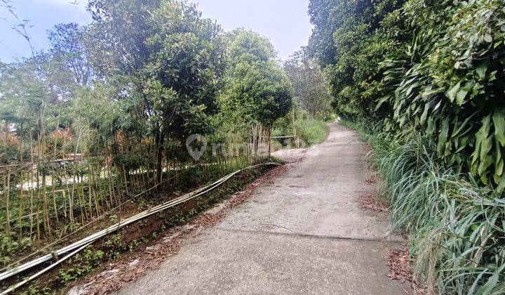 Di  tanah murah Bogor cijeruk Best view 4
