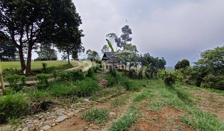 Di  tanah murah best view Cijeruk Bogor 4
