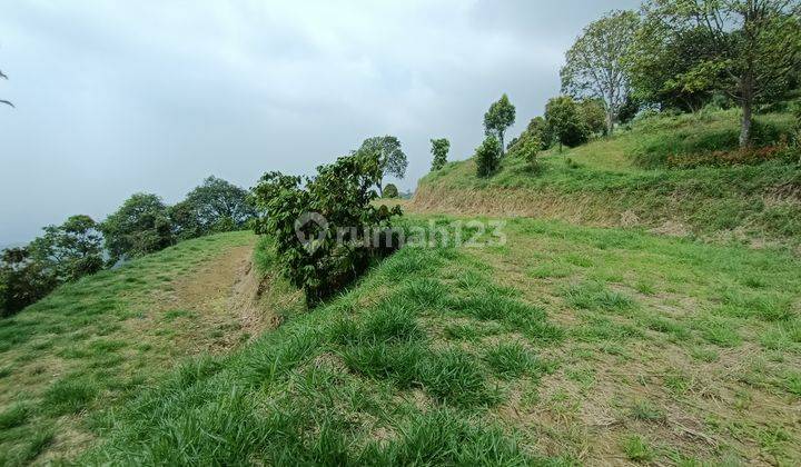 Di  tanah murah best view Cijeruk Bogor 5