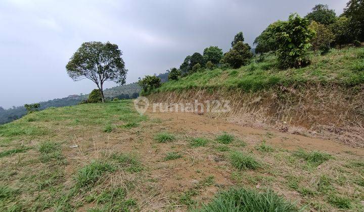 Di  tanah murah best view Cijeruk Bogor 10
