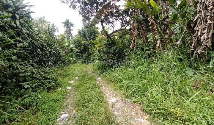 Tanah murah ciapus bogor dijual cepat shm 2