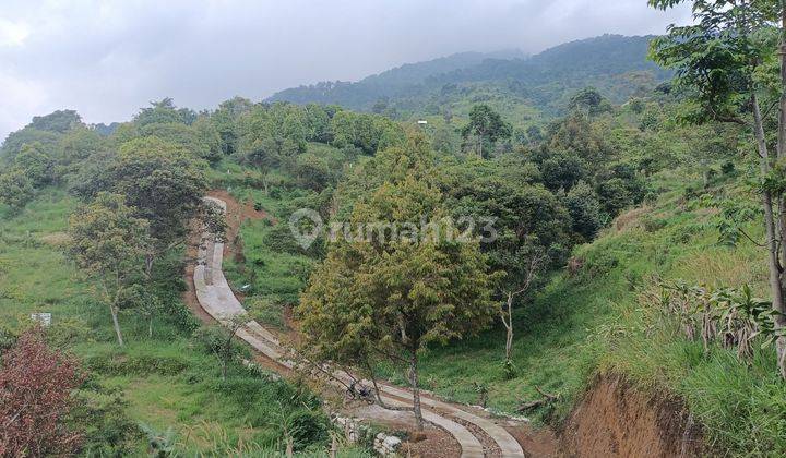 Jual Tanah Di Cijeruk Bogor Harga Per Meter Terbaru