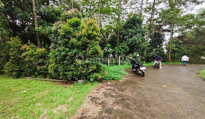 Tanah dijual cijeruk tajurhalang bogor shm 2