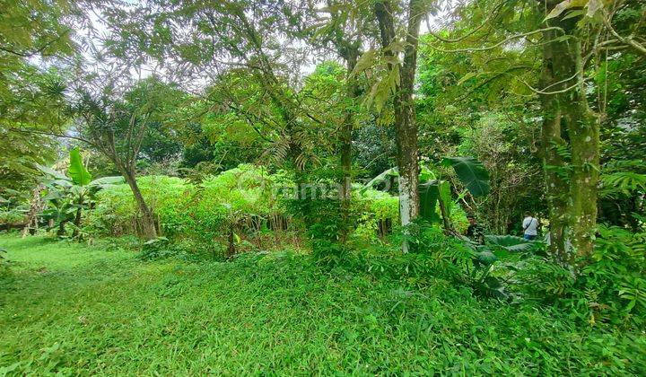 Tanah murah di jual cijeruk bogor Good view 2