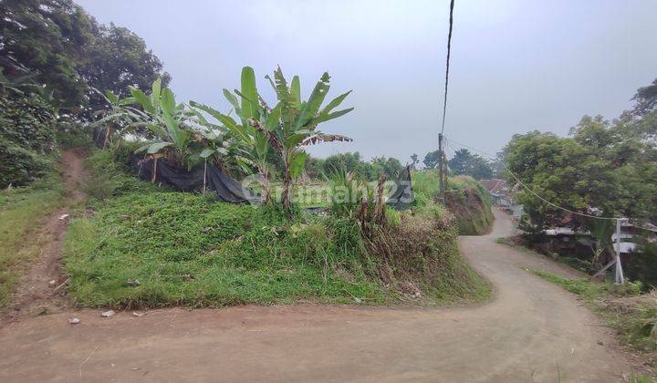 Tanah murah cijeruk dijual cepat best view 1