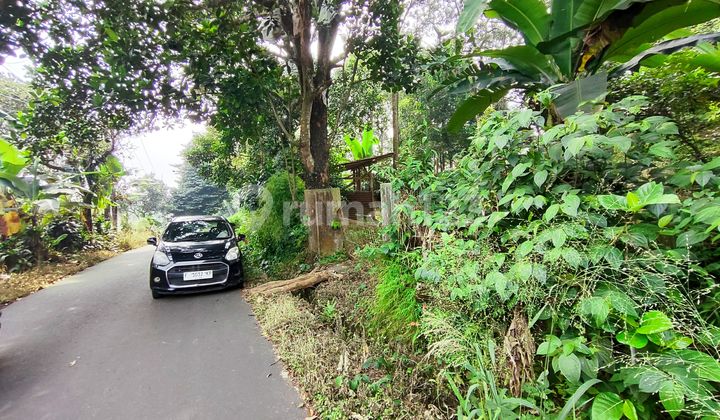 Cheap land Cijeruk Bogor roadside.
