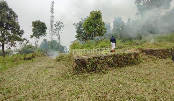 Tanah dijual murah cijeruk bogor gunung salak 1