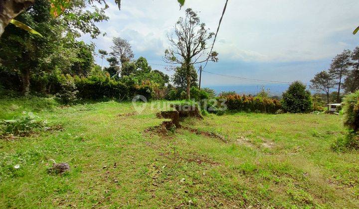 Tanah dijual cijeruk bogor patung gajah camp 2