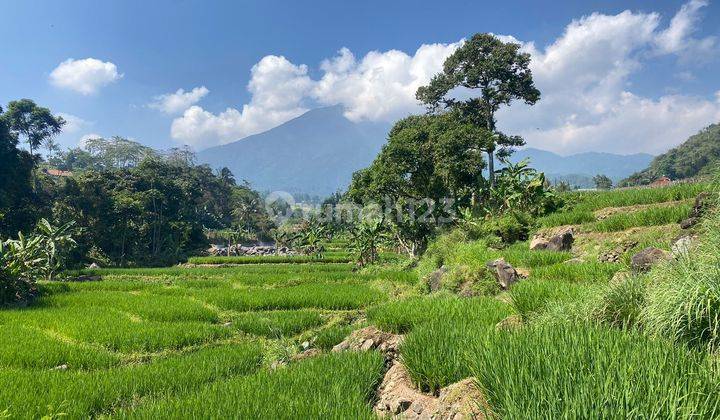 Tanah dijual murah pamijahan bogor gunung salak 1