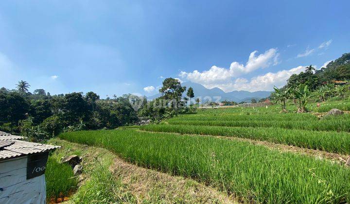 Tanah murah dijual lokasi pamijahan bogor shm 2