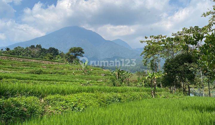 Tanah murah dijual lokasi pamijahan bogor shm 1