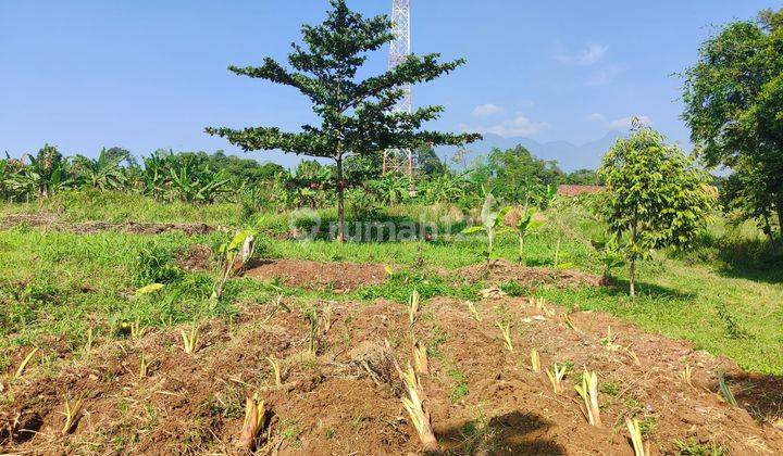 Tanah murah cijeruk bogor dijual best view 2