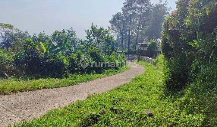 Tanah murah cijeruk bogor dijual best view 1