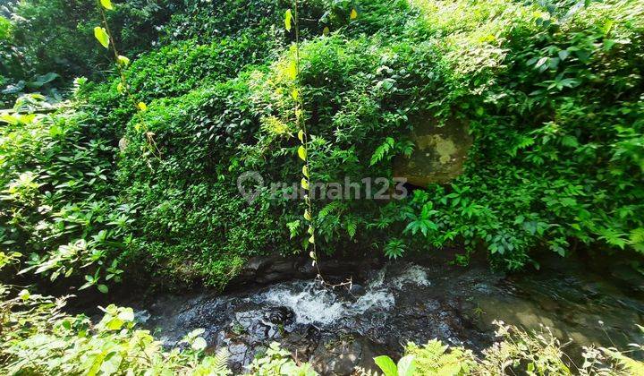 Tanah murah dijual cijeruk bogor ad sungai 1