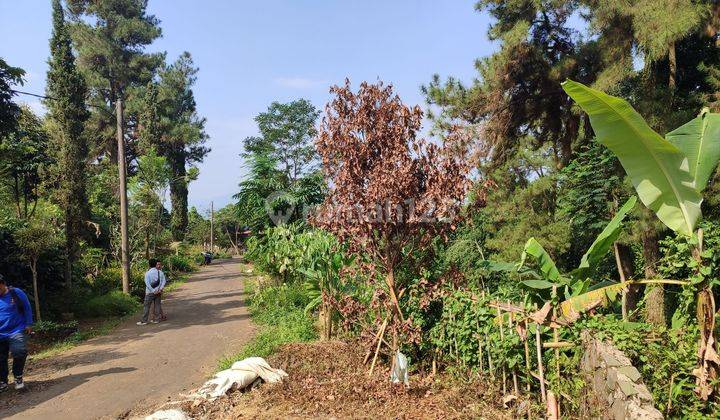 Tanah dijual cijeruk bogor tahurhalang gajah putih 1