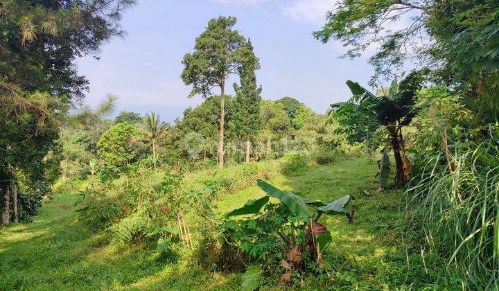 Tanah dijual cijeruk bogor tahurhalang gajah putih 2