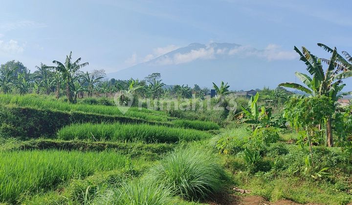 Tanah Murah Cibeduk Ciawi Pinggir Jalan Raya 1
