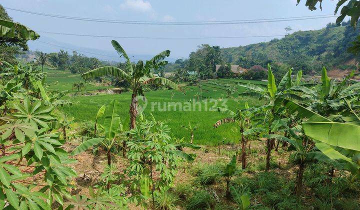 Tanah Sawah Pingir Jalan Raya Dan Belakang Sungai 2