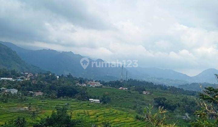 Tanah Murah Sukamakmur Bogor Hak Milik Best  1