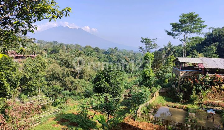 Tanah Murah Cibeduk Ciawi Best View Pingir Jalan 1
