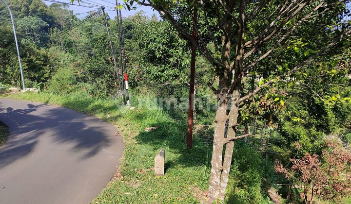 Tanah Murah Cibeduk Ciawi Best View Pingir Jalan 2