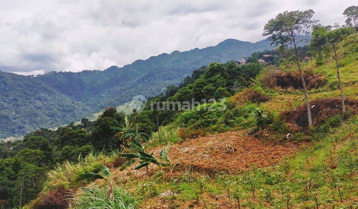 Tanah Dijual Bojong Koneng Sentul Babakan Madang 2