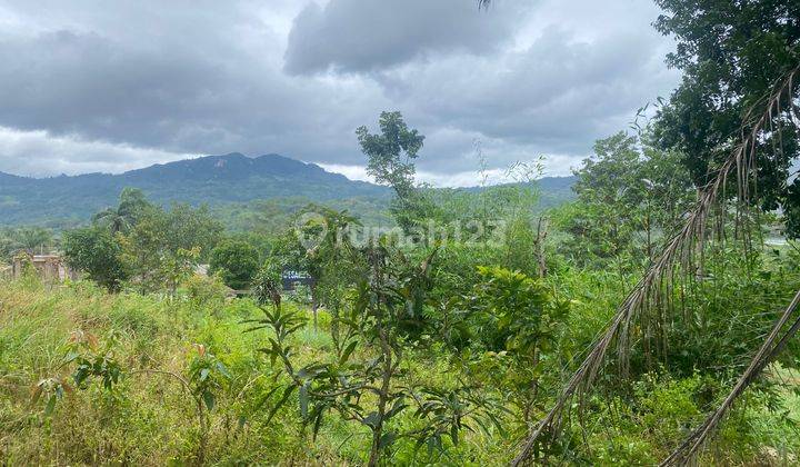 Tanah Murah Bogor Sukamakmur Pinggir Jalan 1