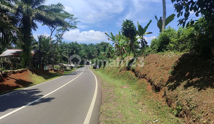 Tanah Di Jual Jalan Raya Utama Cikidang Shm