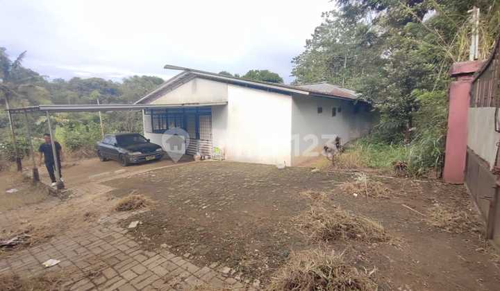 Tanah Murah Gunung Geulis Dekat Sumarecon Bogor Tanah Murah Gunung Geulis Dekat Sumarecon Bogor