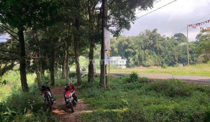 Tanah Dijual Cijeruk pinggir Jalan Raya Cihideung 2