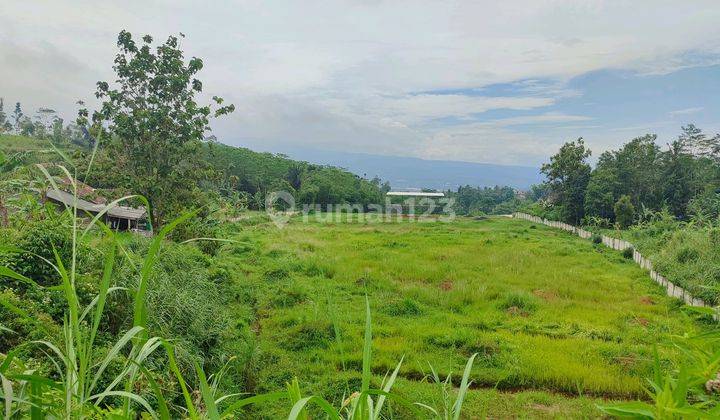 Tanah Murah Tugujaya Cigombong 3km Dari Tol 1
