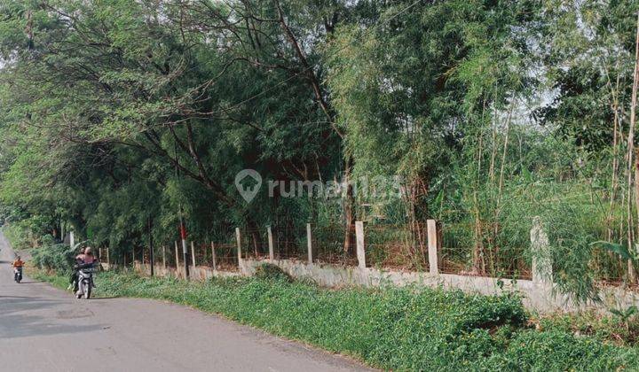 Tanah Murah Sukamakmur Pinggir Jalanl Raya 1