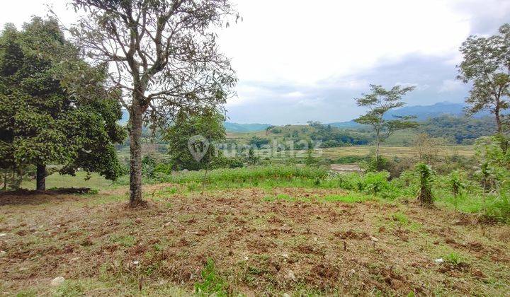 Tanah Murah Di Bogor Selatan Sukamakmur Shm 2