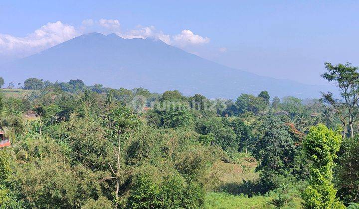 Tanah Murah Cibeduk Ciawi Best View Pingir Jalan 1