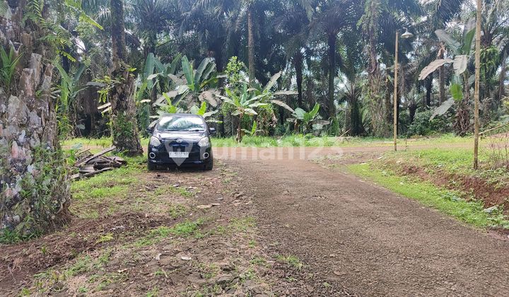 Tanah Murah Cikidang Akses Mobil Fuso Best