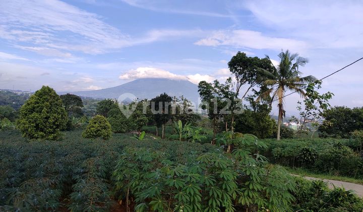 Tanah Di Jual Dekat Sumarecon Kopi Nako Best 1