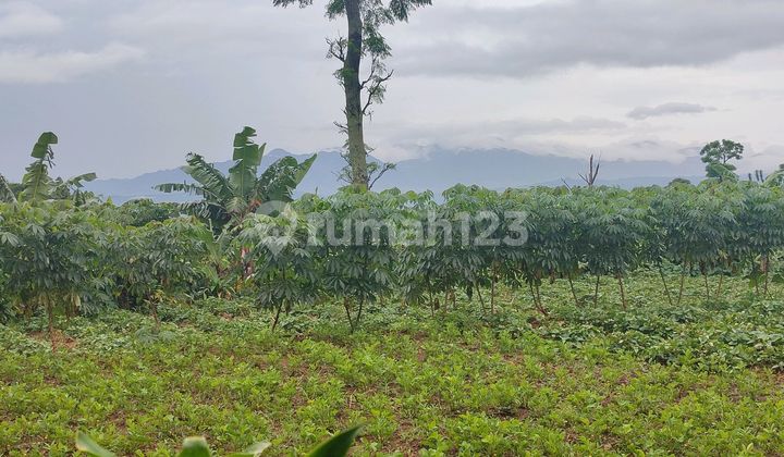 Land with Mountain View in Cijeruk