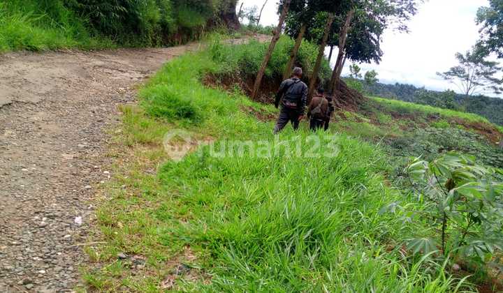 Tanah Murah Cibadak Sukabumi Subur Shm.. Tanah Murah Cibadak Sukabumi Subur Shm..