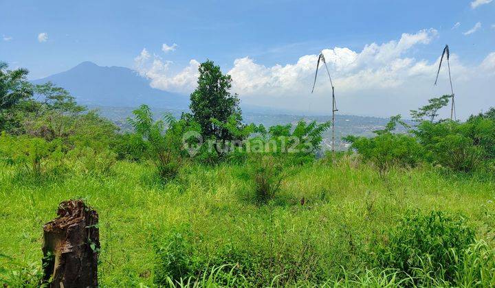 Tanah Datar Gunung geulis Sumarecon Bogor 2