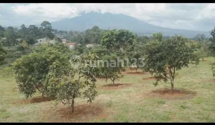 Tanah Dekat Sumarecon Bogor Gunung Gelis