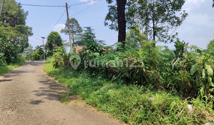 Tanah Dijual Cijayanti Hambalang Shm Bestview
