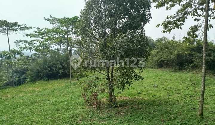 Cheap Land Cijeruk Freehold Certificate