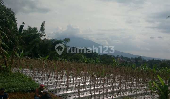 Tanah Murah Cibeduk Ciawi Pinggir Jalan Raya 2